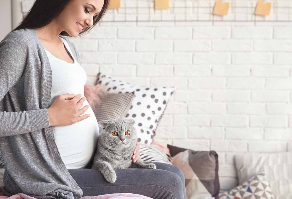 Expectant mother pregnancy and a cat in the house